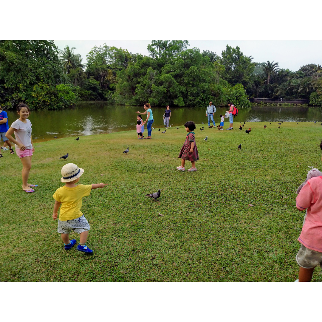 At Botanic Garden, Singapore. Kids enjoy chasing and catching the birds and turtles, they learn to feed and appreciate the animals and diverse nature. This is a favourite place for the kids after school. 

– Loida Natividad for 'Beauty in Diversity' Category